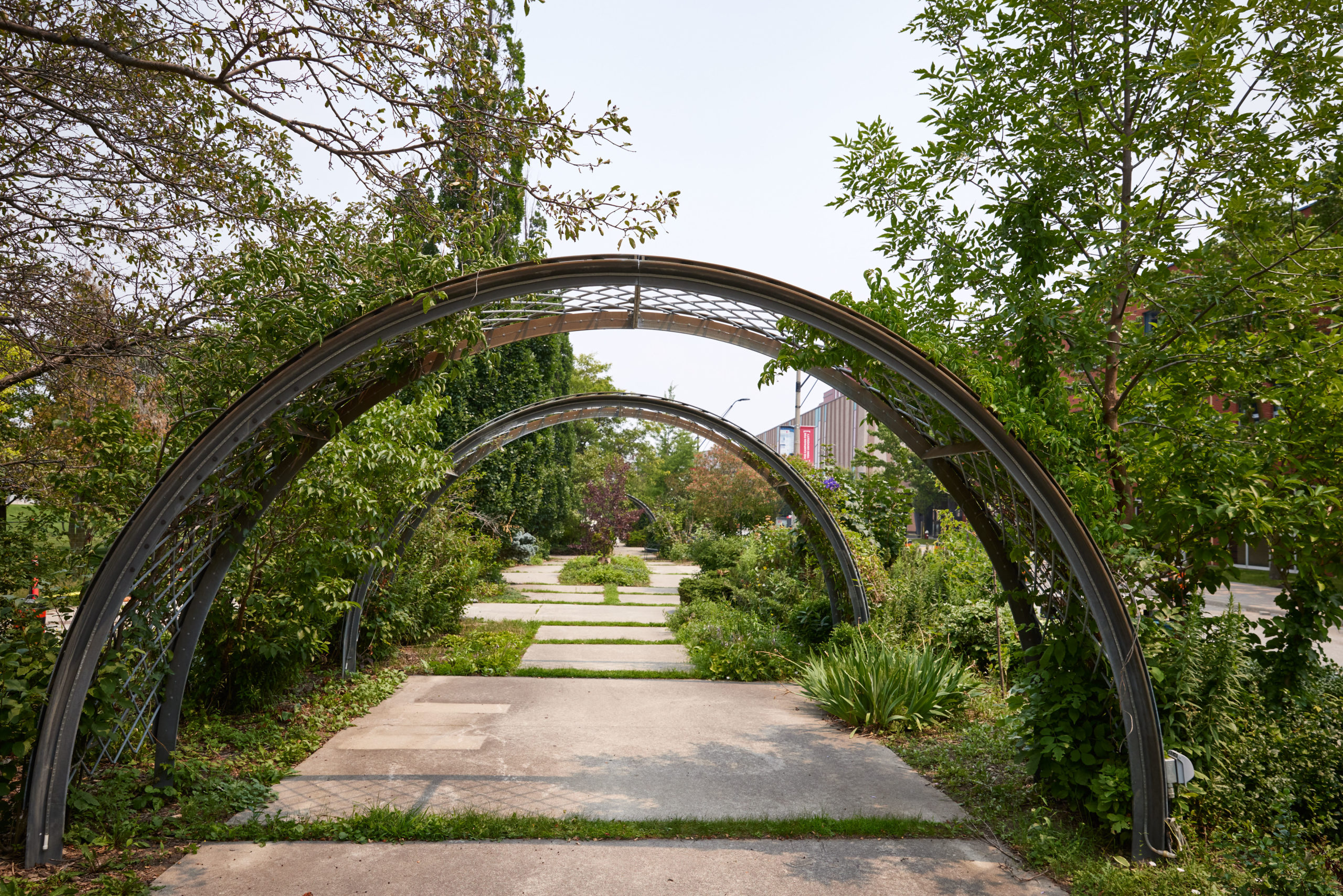 arch at commons