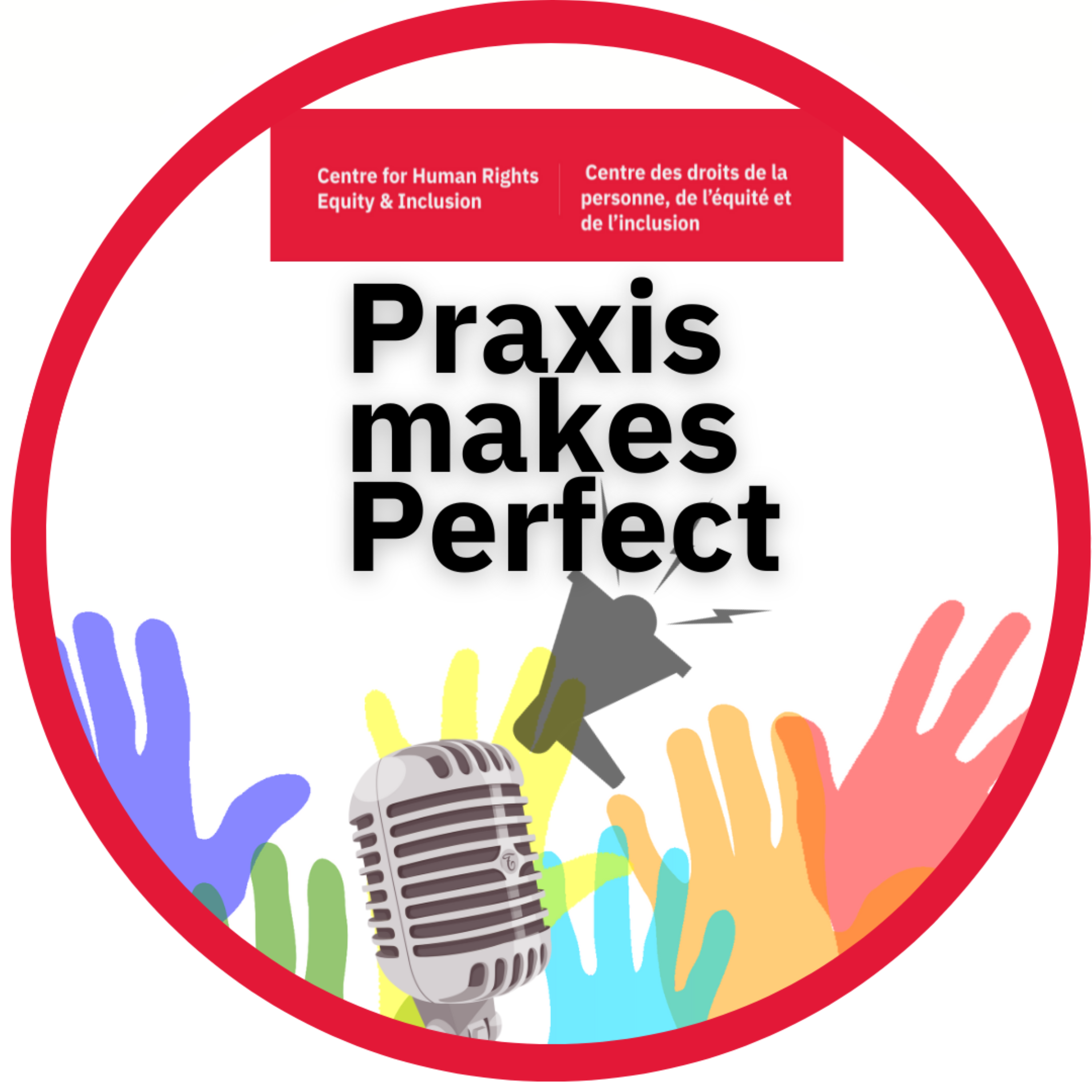 Praxis Makes Perfect logo